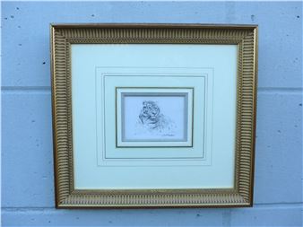 A pencil study of a tiger - David Shepherd