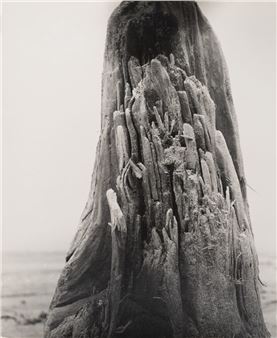 The Legacy of Avant-garde Photography in Nagoya 1930s–50s - MEM