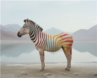 Jim Naughten: Biophilia - Rebecca Hossack, London 