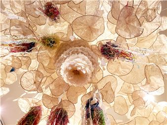 Sookkyung Park: Where Light Blooms  - VisArts