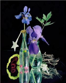 On the Horizon: Select Highlights of the Coming Year in Art