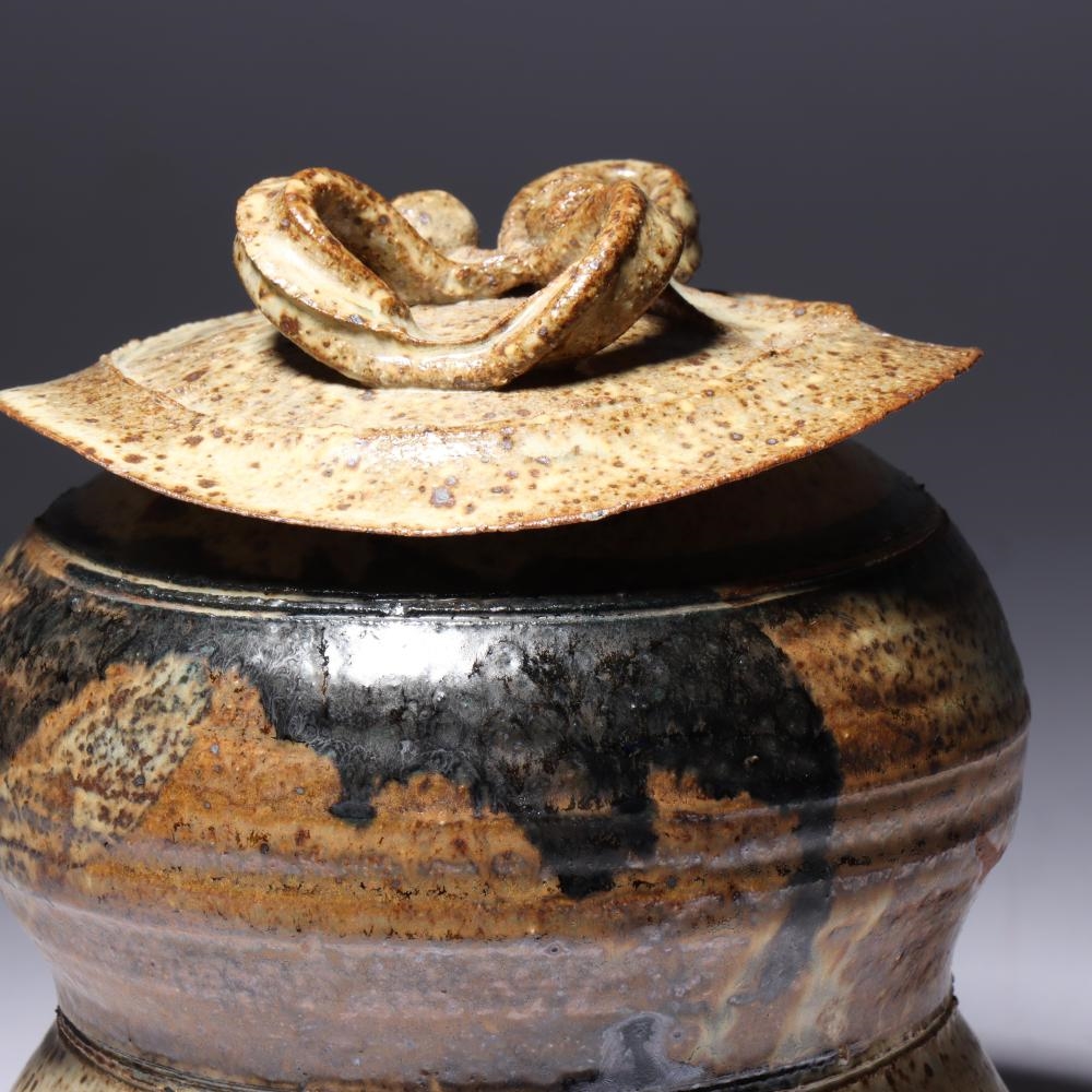 Artwork by Dan Edler, studio art pottery vessel with lid, Made of glazed stoneware