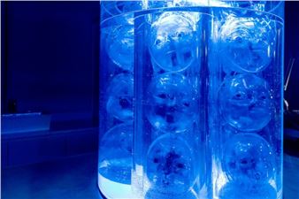 Creatives in Motion: Hwia Kim: Fish Room Therapy - Korean Cultural Center NY