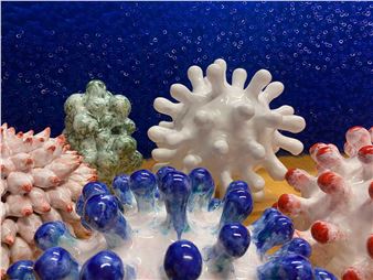 Sun-Rae Kim: Octopus´s Garden - Galerie Robert Drees