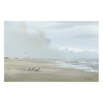 View of the Lighthouse - Wayne Fulcher