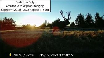 Chernobyl Safari 15/09/2021 - Anna Jermolaewa