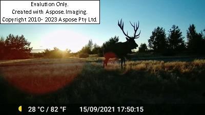 Chernobyl Safari 15/09/2021 - Anna Jermolaewa