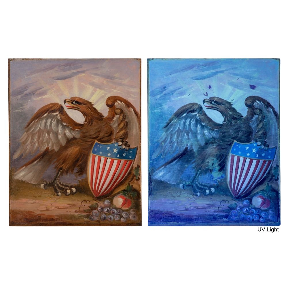 Artwork by Thomas E. Bodines, eagle with a patriotic shield, Made of Oil on Canvas Laid on Board