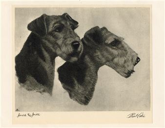 1931年出版 エッチング 犬 BERT COBB アメリカ Bert Cobb | 18 Artworks at Auction | MutualArt
