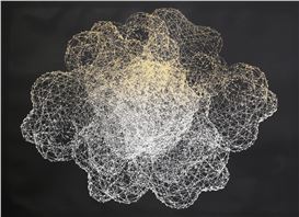 Winter/Spring 2025 Events and Exhibitions