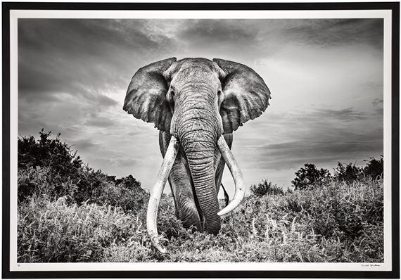 Gentle Giant by Michel Ghatan, Executed in 2020