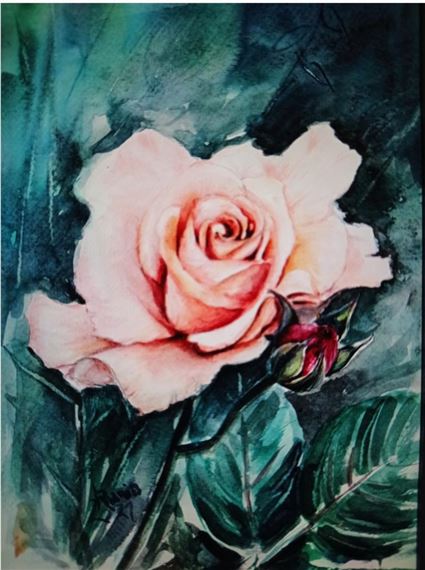 Rania Andon | Rosa (2021) | MutualArt