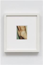 Andy Warhol Made "Nudes"