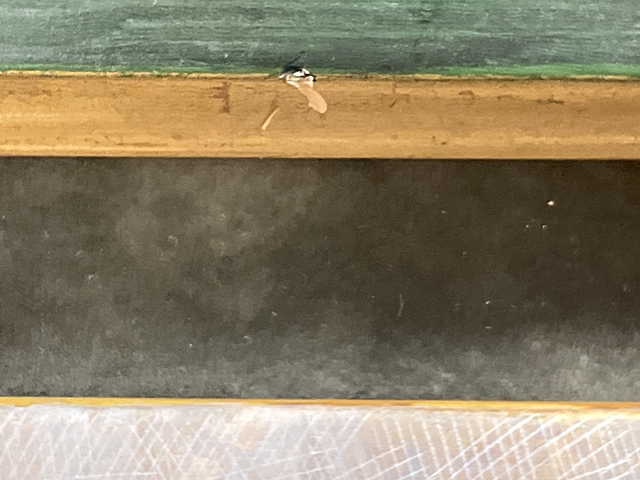 Artwork by Oyama Tomio, Woman, Made of Tempera on board