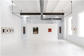 This Is How We Look, Is This Who We Are? - Alzueta Gallery, Barcelona (Sèneca)