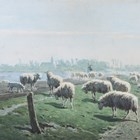 Artwork by Pieter Louis Hoedt, Changing Pastures, Made of watercolour
