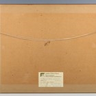 Artwork by Pieter Louis Hoedt, Changing Pastures, Made of watercolour