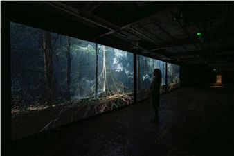 Marshmallow Laser Feast: Entwined - Bitforms Gallery, New York