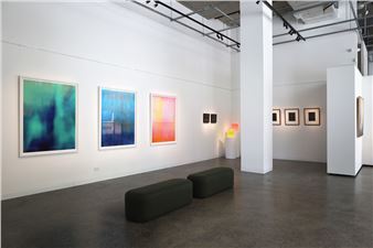 New Year, New Looks - Curatorial+Co.