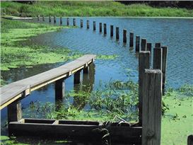 Mary Miss and Des Moines Art Center Settle Lawsuit