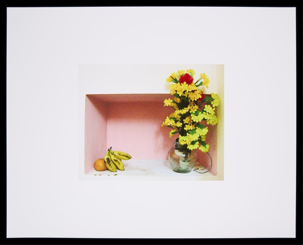 Artwork by Margaret Lee, Fake Flowers, Real Fruit, Made of Baryta paper
