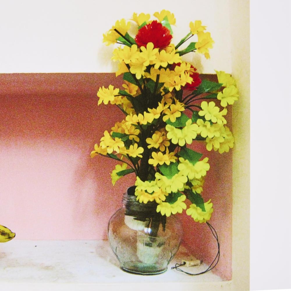 Artwork by Margaret Lee, Fake Flowers, Real Fruit, Made of Baryta paper