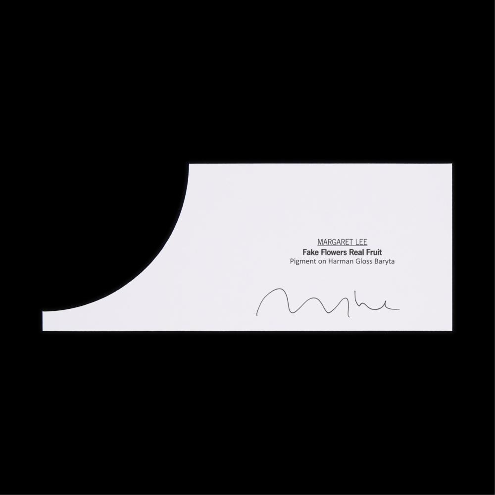 Artwork by Margaret Lee, Fake Flowers, Real Fruit, Made of Baryta paper