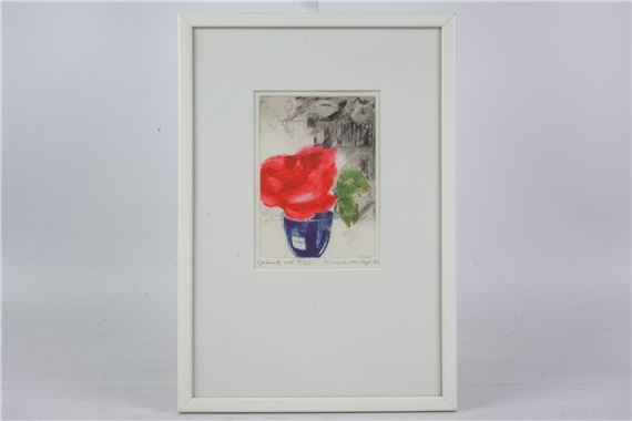 Spansk ros - Nunne von Unge