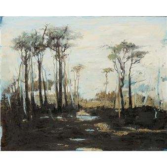 SCOTS PINES & NEEDLES - HAM CREEK, 2012 - Ffiona Lewis