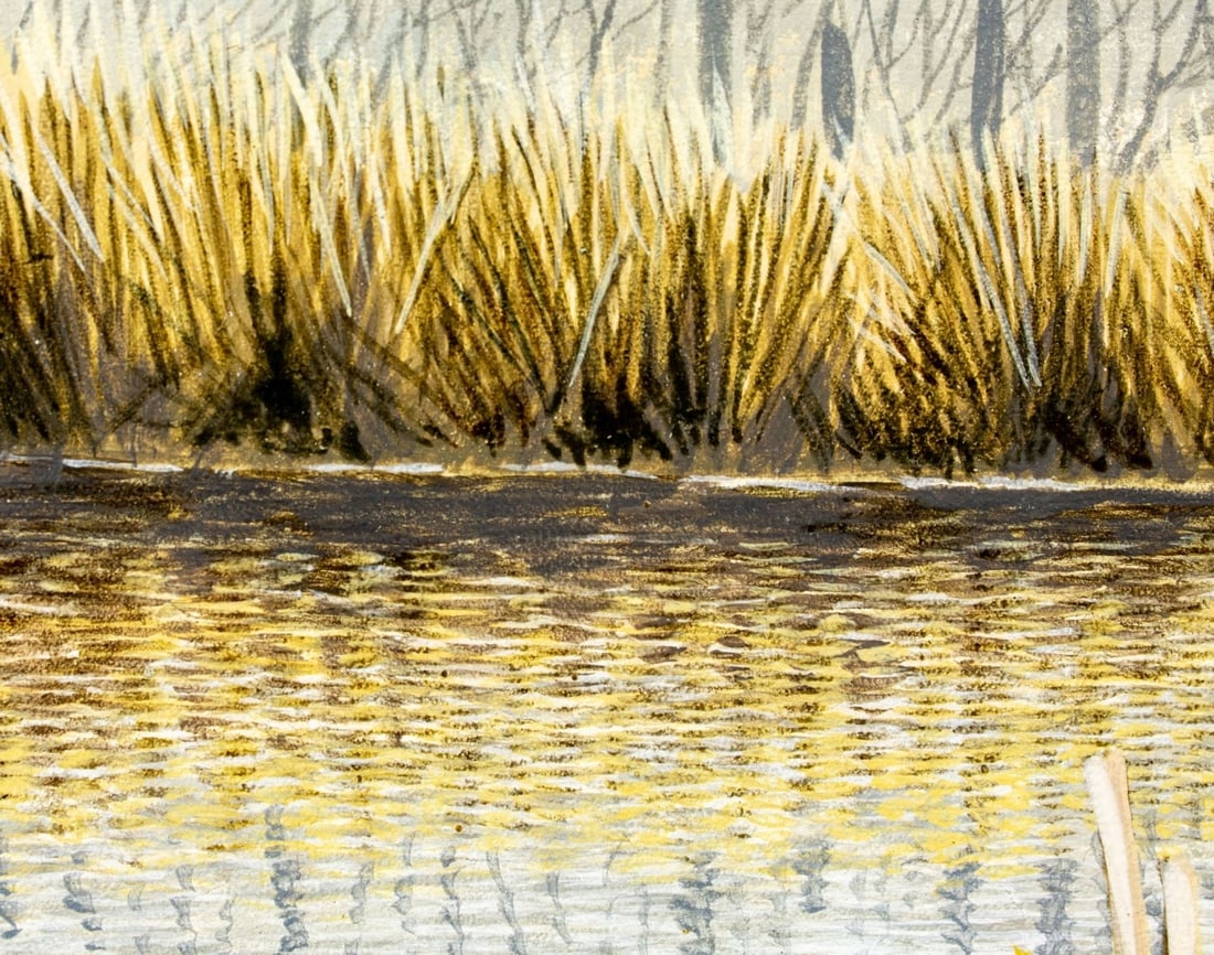 Carl Knuth | Swamp Ring Neck Ducks | MutualArt