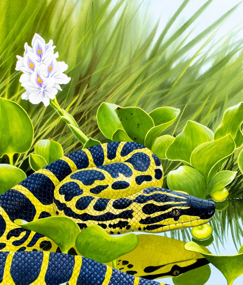 Chuck Ripper | Yellow Anaconda (1999) | MutualArt