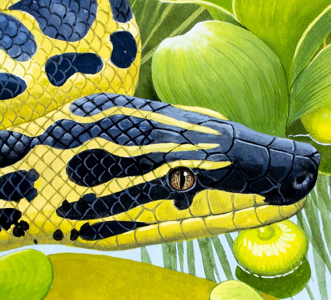 Chuck Ripper | Yellow Anaconda (1999) | MutualArt