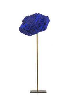 School of sensitivity - Werner Ruhnau