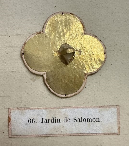 Artwork by Ed. Boutillier, Important neo-Gothic reliquary frame containing 74 relics made of pebbles or plants from holy places in the Old and New Testaments, Made of mounted on a panel