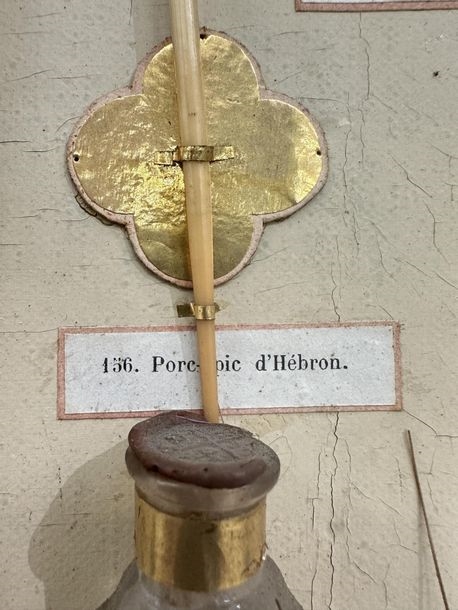 Artwork by Ed. Boutillier, Important neo-Gothic reliquary frame containing 74 relics made of pebbles or plants from holy places in the Old and New Testaments, Made of mounted on a panel