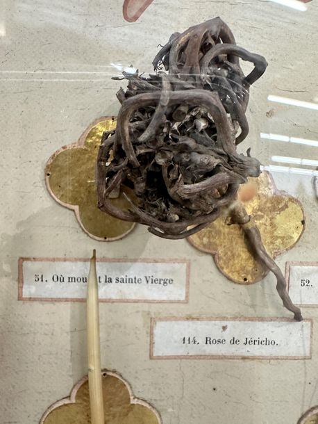 Artwork by Ed. Boutillier, Important neo-Gothic reliquary frame containing 74 relics made of pebbles or plants from holy places in the Old and New Testaments, Made of mounted on a panel