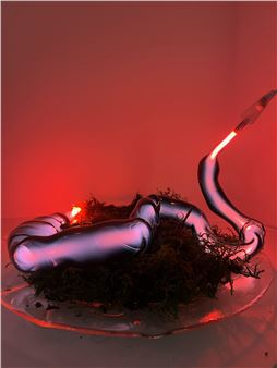 Dia Muñoz: Creaturas de la dimensión de lo inconsciente - Ponce+Robles