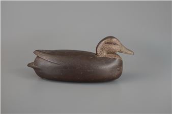 Black Duck - Charles Black