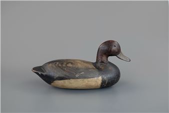 Rare Redhead Drake - Henry Ruggles