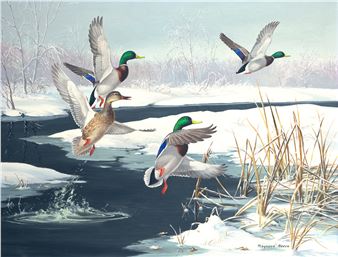 Mallards in Winter - Maynard Reece