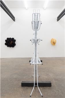 Cameron Patricia Downey: Hoard Ecstatic - T293
