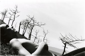 Among The Trees - Margarita Galandina