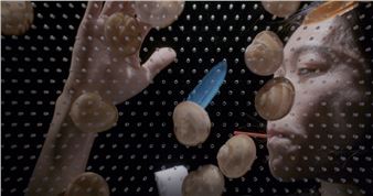 Aki Sasamoto’s Life Laboratory - Museum of Contemporary Art, Tokyo