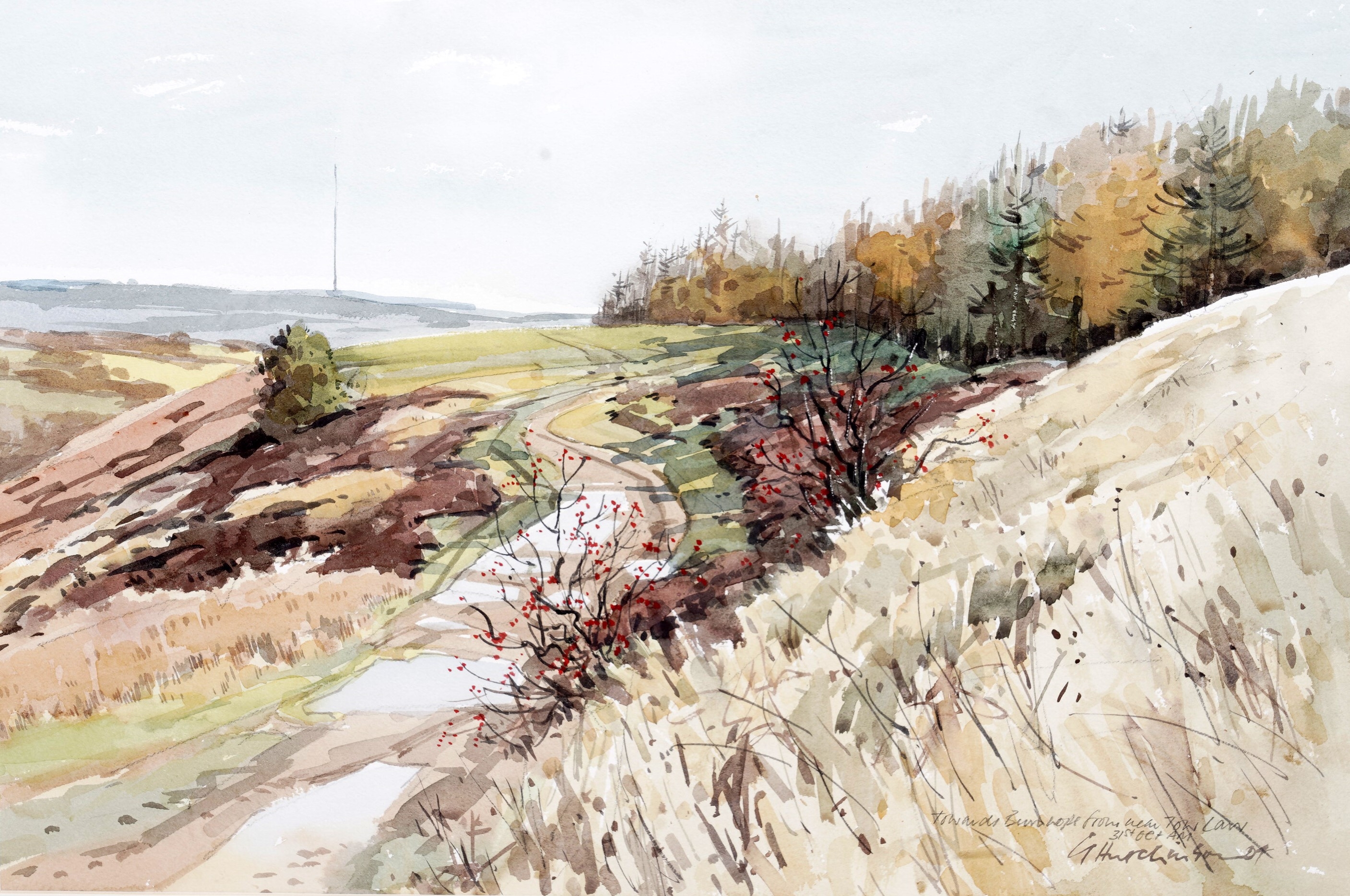 Artwork by George Hutchinson, Towards Burnhope, Made of watercolour