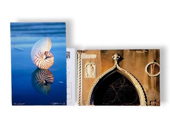 Tiger Nautilus II;Venice Turkish Window - Ruth Burke
