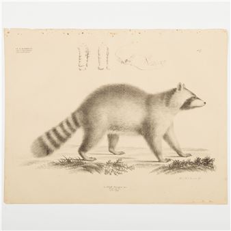 Naturhistorischer Atlas: Twenty-one Plates - Georg August Goldfuss
