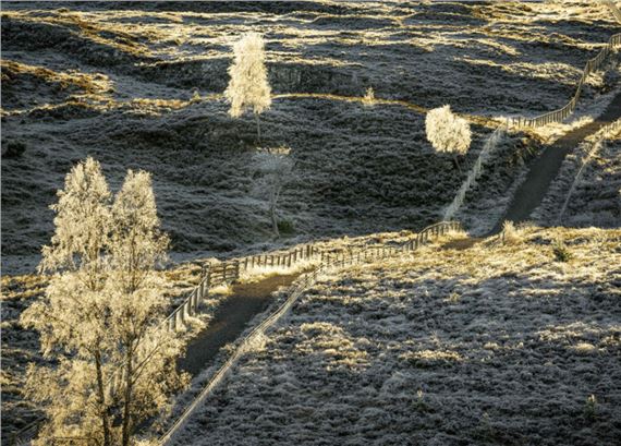 Small Works: Apricity - Copley Society of Art