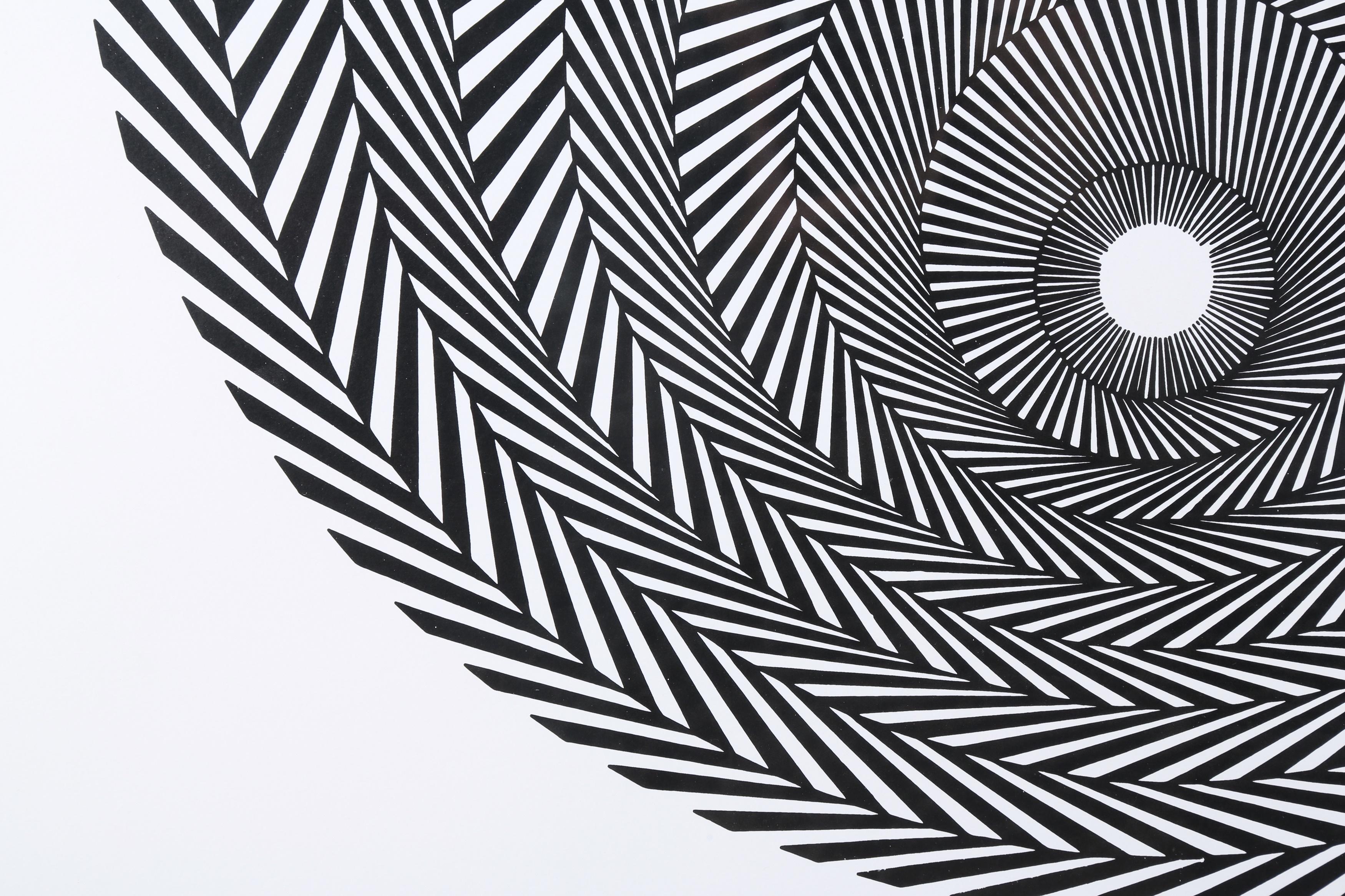 Bridget Riley | Blaze 4 (1964) | MutualArt