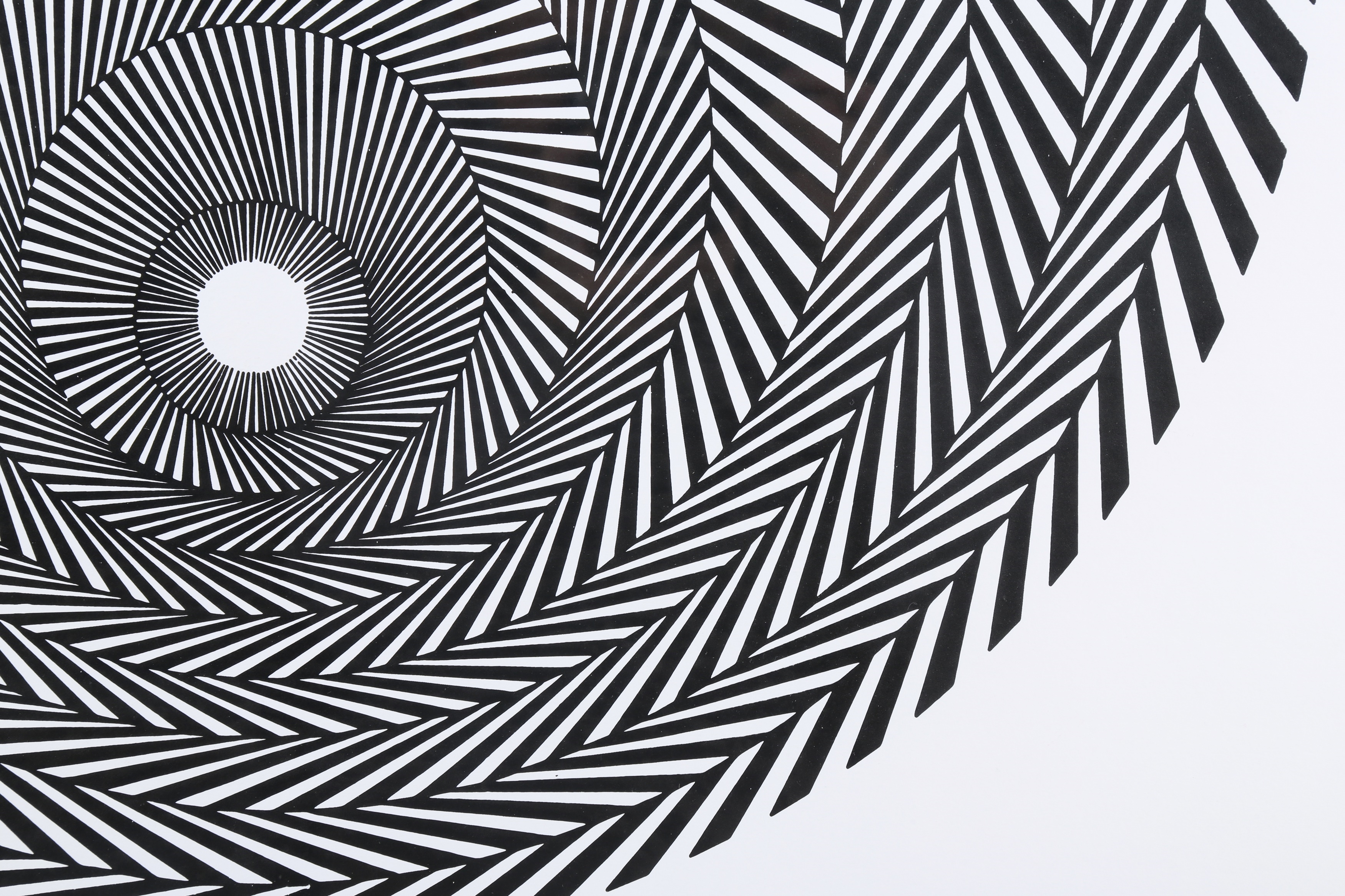Bridget Riley | Blaze 4 (1964) | MutualArt