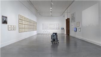 Francisca Benítez: Trabajo de Campo (Fieldwork)